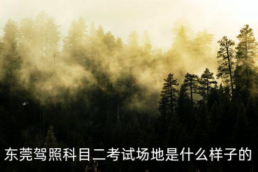 東莞駕照科目二考試場地是什么樣子的