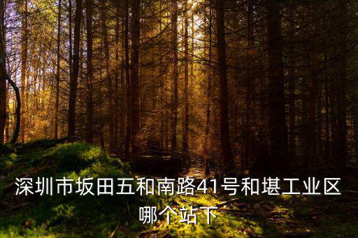 深圳市創佳安，深圳市福田區福華路298號經營什么