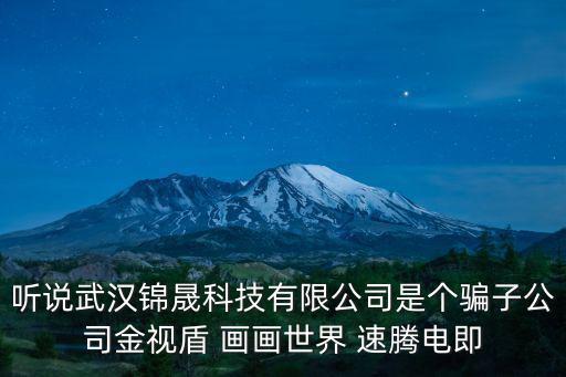 聽說武漢錦晟科技有限公司是個騙子公司金視盾 畫畫世界 速騰電即
