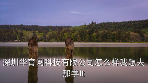 深圳市華育網科技發展有限公司，華育網科技有限公司學電腦誰知道怎樣