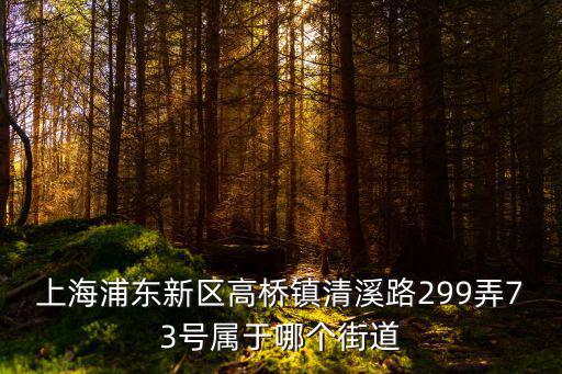 上海浦東新區高橋鎮清溪路299弄73號屬于哪個街道