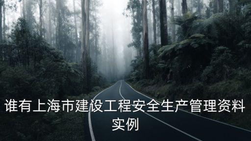 誰有上海市建設工程安全生產管理資料實例