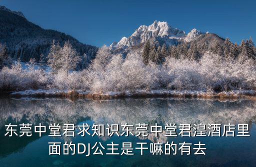 東莞中堂君求知識東莞中堂君湟酒店里面的DJ公主是干嘛的有去