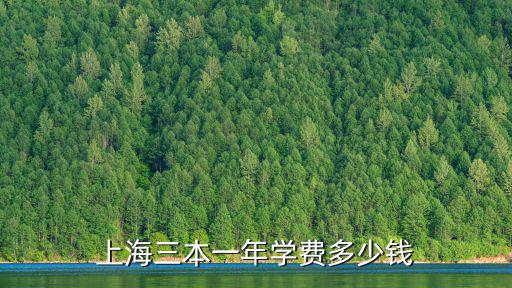 上海三本一年學費多少錢