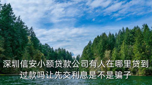 深圳信安小額貸款公司有人在哪里貸到過(guò)款嗎讓先交利息是不是騙子