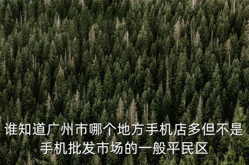 誰知道廣州市哪個地方手機店多但不是手機批發市場的一般平民區