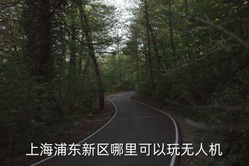 上海市區能飛無人機嘛，上海虹橋上飛機可以帶無人機嗎 小型無人機 電量是500毫安