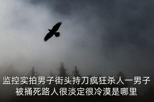 監控實拍男子街頭持刀瘋狂殺人一男子被捅死路人很淡定很冷漠是哪里