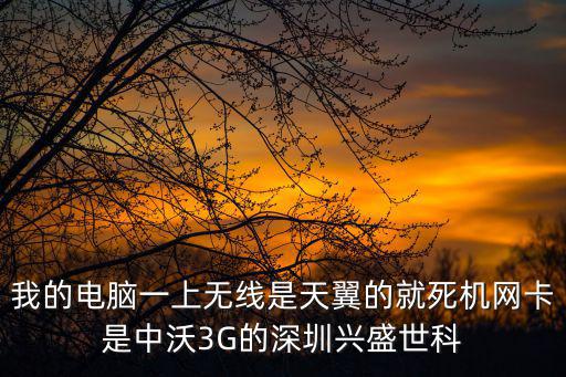 我的電腦一上無線是天翼的就死機網卡是中沃3G的深圳興盛世科