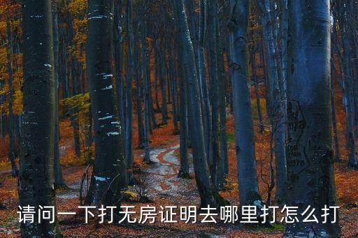請問一下打無房證明去哪里打怎么打