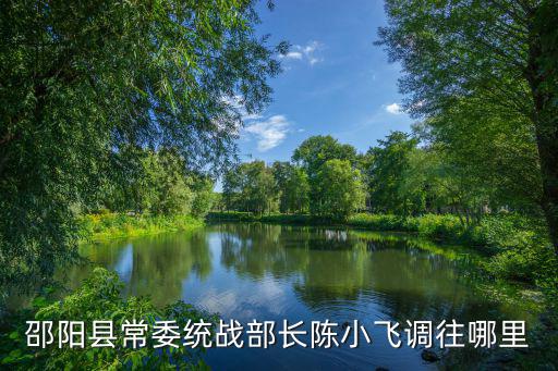 邵陽縣常委統戰部長陳小飛調往哪里