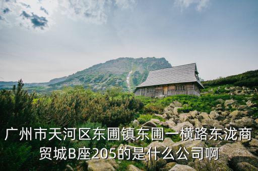 廣州市天河區東圃鎮東圃一橫路東瀧商貿城B座205的是什么公司啊