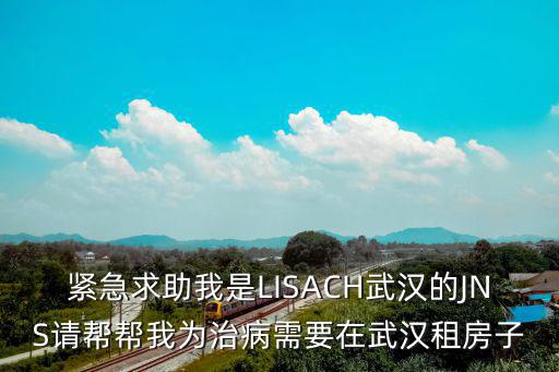 深圳麗薩姐，緊急求助我是LISACH武漢的JNS請幫幫我為治病需要在武漢租房子