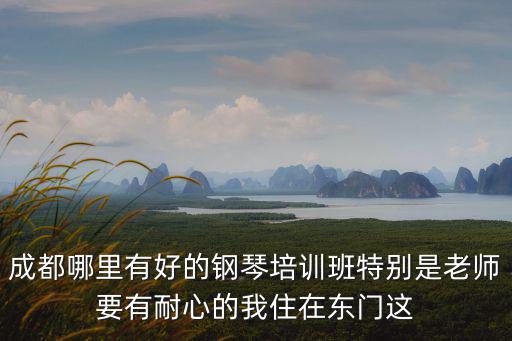 成都市學會杯鋼琴，成都市2011年鋼琴考級報名時間是什么時候在哪兒報名