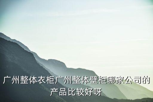 廣州整體衣柜廣州整體壁柜哪家公司的產品比較好呀