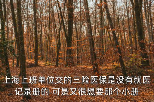 上海上班單位交的三險醫保是沒有就醫記錄冊的 可是又很想要那個小冊