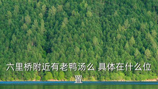 六里橋附近有老鴨湯么 具體在什么位置