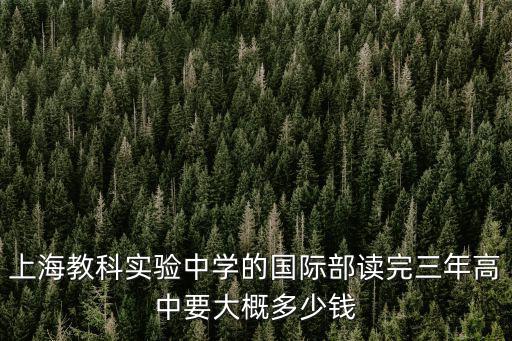 上海市示范性高中收費(fèi)標(biāo)準(zhǔn)，上海城博興高中 一年的 費(fèi)用 大約多少生活費(fèi)除外
