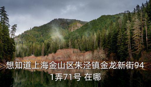 上海市朱涇鎮(zhèn)疾病控制中心地址，想知道上海金山區(qū)朱涇鎮(zhèn)金龍新街941弄71號 在哪