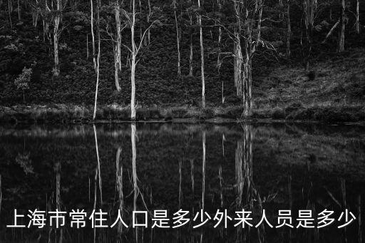 上海市常住人口是多少外來人員是多少