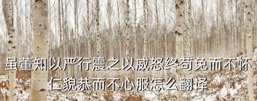 雖董知以嚴行震之以威怒終茍免而不懷仁貌恭而不心服怎么翻譯