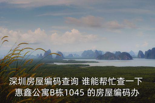 深圳房屋編碼查詢 誰能幫忙查一下 惠鑫公寓B棟1045 的房屋編碼辦