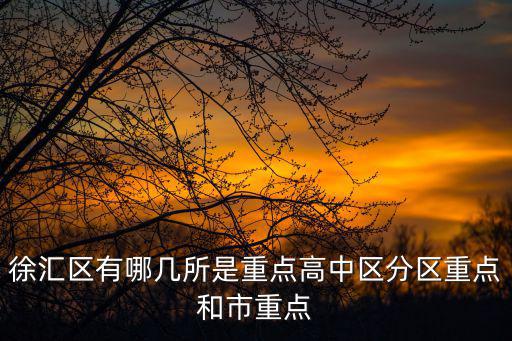 徐匯區有哪幾所是重點高中區分區重點和市重點