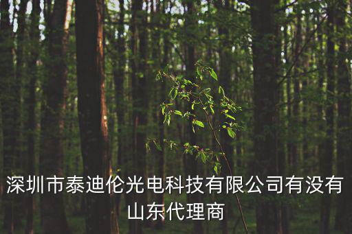 深圳市泰迪倫光電科技有限公司有沒(méi)有山東代理商