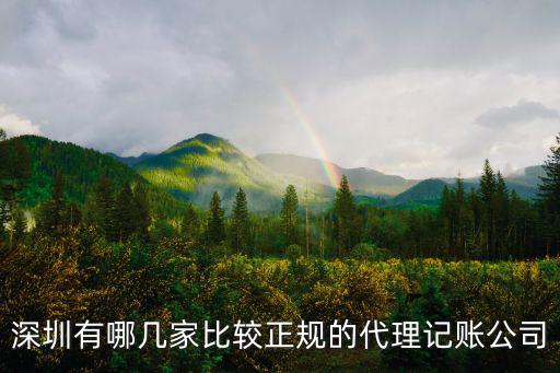 深圳有哪幾家比較正規(guī)的代理記賬公司