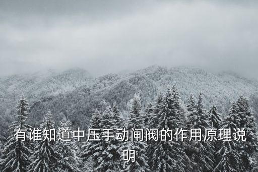  有誰知道中壓手動閘閥的作用原理說明