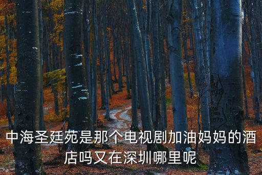 中海圣廷苑是那個電視劇加油媽媽的酒店嗎又在深圳哪里呢