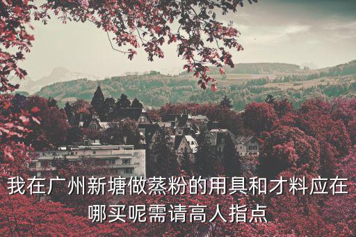 我在廣州新塘做蒸粉的用具和才料應在哪買呢需請高人指點