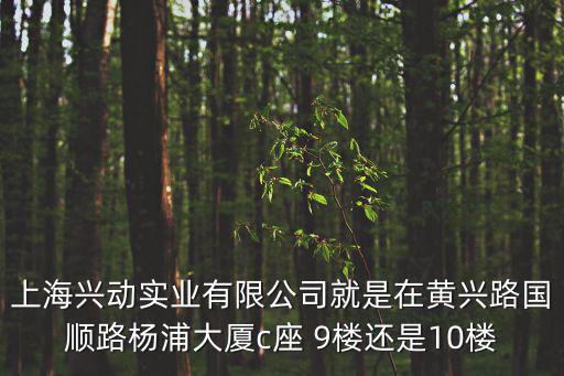 上海興動實業有限公司就是在黃興路國順路楊浦大廈c座 9樓還是10樓