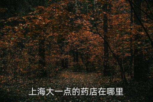上海大一點的藥店在哪里