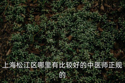 上海市松江區泗涇醫院圖，上海松江區哪里有比較好的中醫師正規的