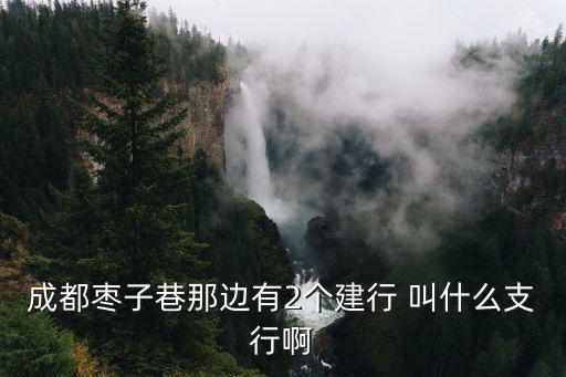 建行成都市自貿區支行，成都棗子巷那邊有2個建行 叫什么支行啊
