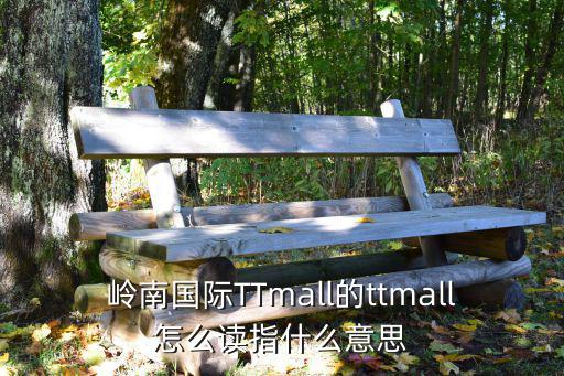 嶺南國際TTmall的ttmall怎么讀指什么意思