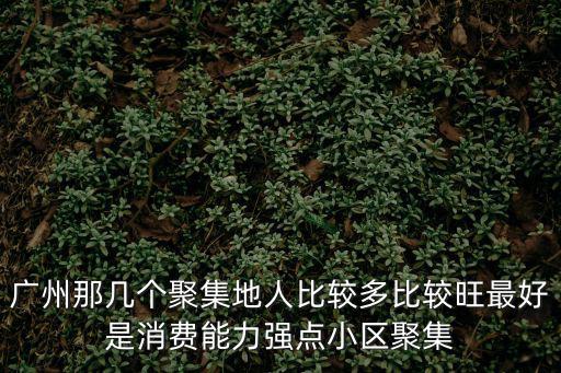 廣州那幾個聚集地人比較多比較旺最好是消費能力強點小區聚集