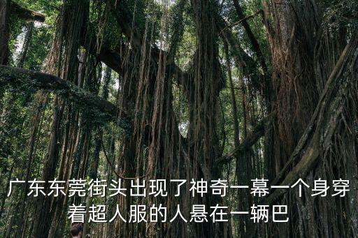 東莞哪魔術(shù)女，DJKK上的SOHO感覺酒吧現(xiàn)場中的末尾曲叫什么