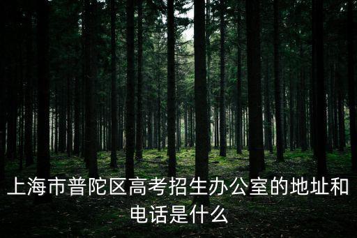 上海市普陀區(qū)高考招生辦公室的地址和電話是什么
