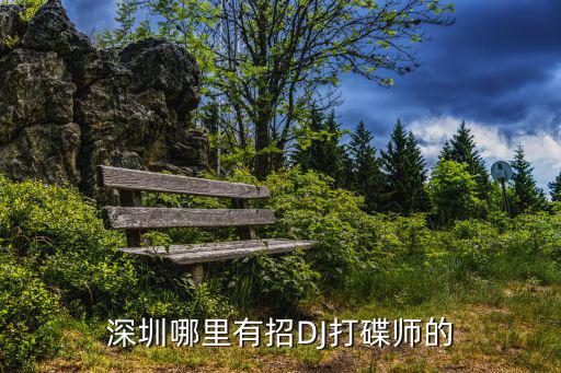 深圳哪里有招DJ打碟師的