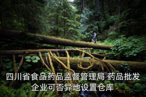 四川省食品藥品監督管理局 藥品批發企業可否異地設置倉庫