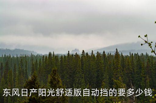 東風(fēng)日產(chǎn)陽(yáng)光舒適版自動(dòng)擋的要多少錢