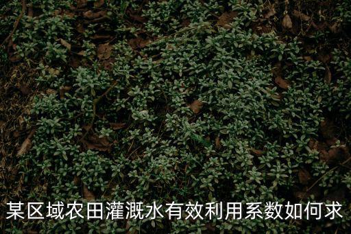 某區(qū)域農(nóng)田灌溉水有效利用系數(shù)如何求