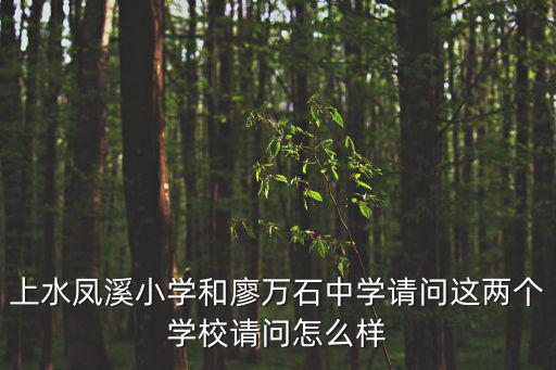 上水鳳溪小學和廖萬石中學請問這兩個學校請問怎么樣