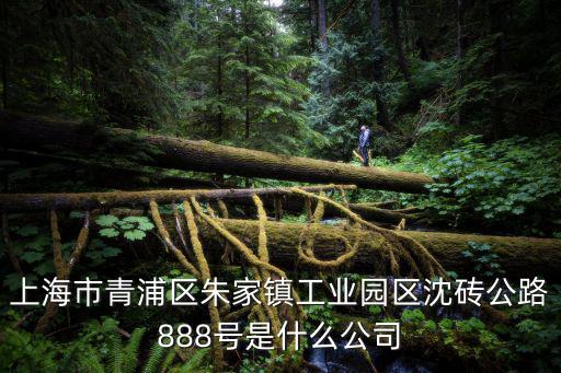 上海市青浦區朱家鎮工業園區沈磚公路888號是什么公司