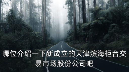 哪位介紹一下新成立的天津濱海柜臺交易市場股份公司吧