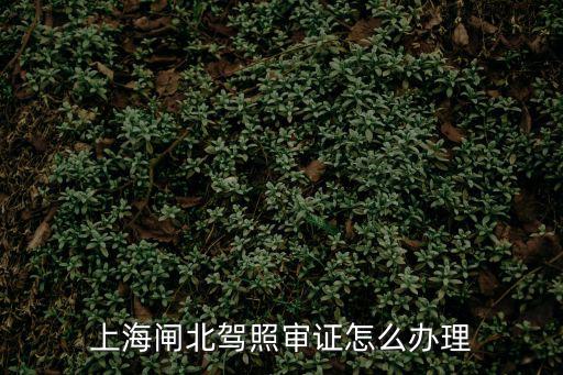 上海閘北駕照審證怎么辦理