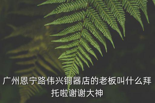 廣州恩寧路偉興銅器店的老板叫什么拜托啦謝謝大神