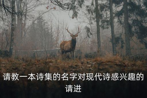 請教一本詩集的名字對現代詩感興趣的請進